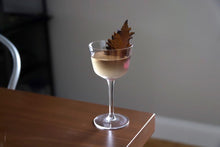 Load image into Gallery viewer, Angled Crystal Nick & Nora Glasses