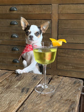 Load image into Gallery viewer, Angled Crystal Nick & Nora Glasses