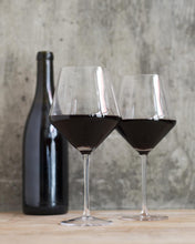 Load image into Gallery viewer, Angled Crystal Burgundy Glasses

