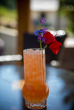 Load image into Gallery viewer, Deco Crystal Highball Glasses
