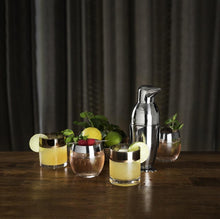 Load image into Gallery viewer, Chrome Rim Crystal Tumblers
