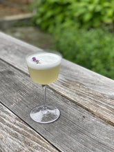 Load image into Gallery viewer, Angled Crystal Nick &amp; Nora Glasses
